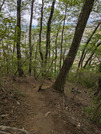 PXL_20260523_034534993