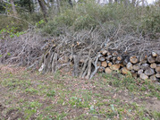 PXL_20260404_021736525
