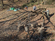 PXL_20251216_022929178