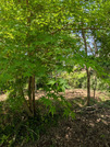 PXL_20260518_022527390