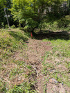 PXL_20260515_041907834