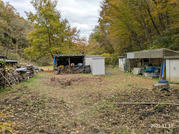 PXL_20251117_231709260