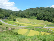 DSCN9228