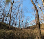 PXL_20260111_012154876