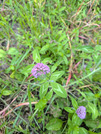PXL_20260707_090743826