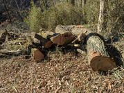 PXL_20260116_035522650