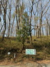 PXL_20260326_234021401