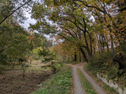 PXL_20251117_231133931