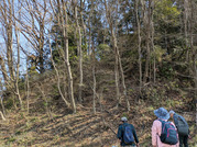 PXL_20260301_010828579