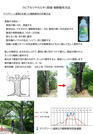 マツグリーン2作業方法1