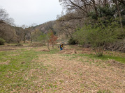 PXL_20260329_232100687