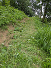 PXL_20260728_030712543
