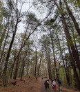 PXL_20260405_061512788