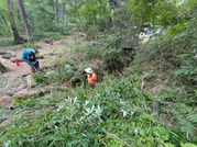 PXL_20260605_023753726