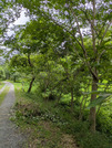 PXL_20260816_020900932
