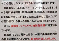 ●PXL_20260516_044101765