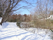 DSC09062