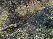 PXL_20251208_025304361