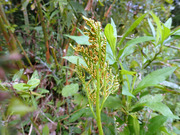 PA100011