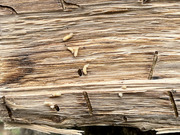 0025551A-6BD6-4BED-B343-B7FC29896839