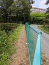 PXL_20260731_041516838