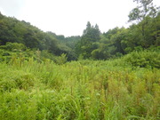 DSCN8766