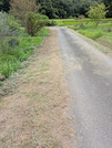 PXL_20260828_045130255