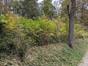 PXL_20251117_235800304