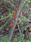 PXL_20260704_064459037