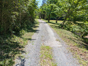 PXL_20260510_022250041