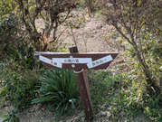 PXL_20260323_054343615