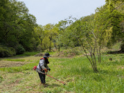 PXL_20260417_030947057