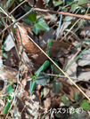 PXL_20260301_031723541