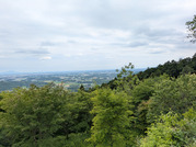 PXL_20260610_052013306