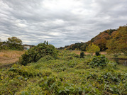 PXL_20251118_001129981