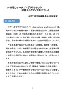 ツヤハダゴマダラカミキリのモニタリング_1