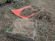 PXL_20260325_023220100