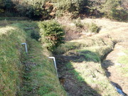 DSCN1475