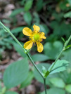 PXL_20260806_034749378