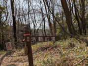 PXL_20260301_024049469