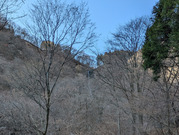 PXL_20251222_030829284