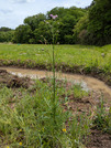 PXL_20260424_033541097