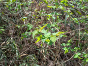 PXL_20260403_022245704