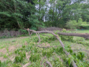 PXL_20260530_092746951