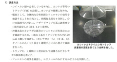 カシナガ調査(沖縄県)18・19_5