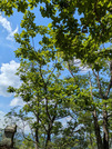 PXL_20260511_044113002