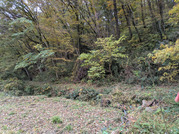 PXL_20251117_235956728