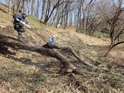 P2090045