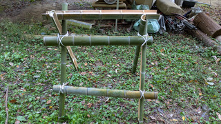 PXL_20251114_000915855