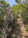 PXL_20260617_045243469